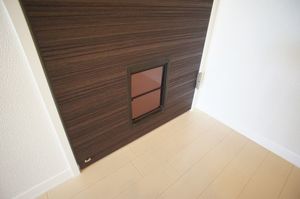 オリージャ 102号-10