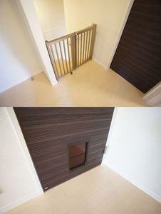 オリージャ 201号-10