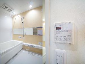 アルテージ錦 106号-9