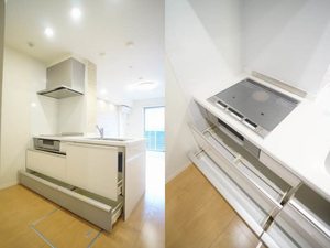 アルテージ錦 111号-5