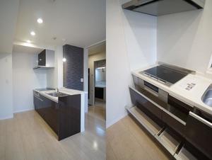 アルテージ錦 208号-5