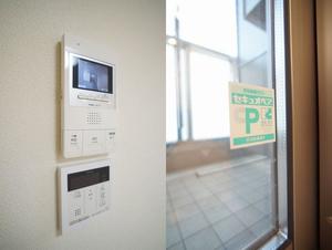 アルテージ錦 208号-6