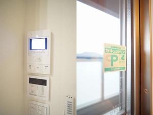 アルテージ錦 212号-6