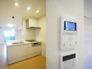 アルテージ錦 223号-5