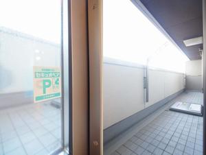 アルテージ錦 223号-11