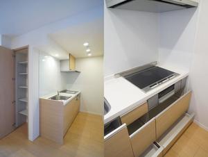 アルテージ錦 302号-5