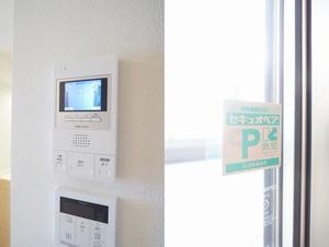 アルテージ錦 302号-6