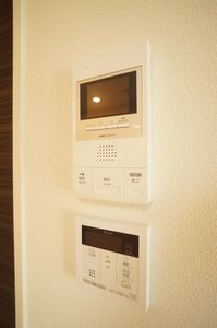 アルテージ錦 308号-5