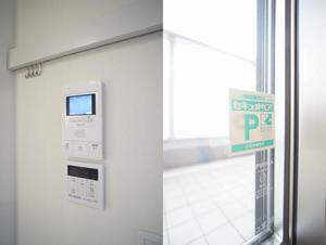 アルテージ錦 315号-6