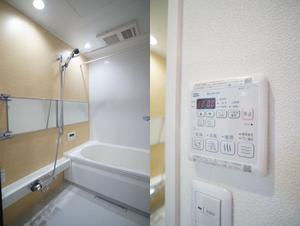 アルテージ錦 315号-9