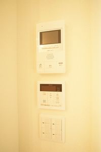 アルテージ錦 412号-6