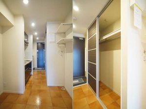 アルテージ錦 420号-6