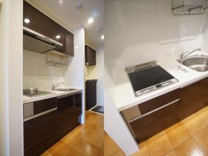 アルテージ錦 420号-7