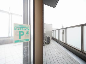 アルテージ錦 420号-11