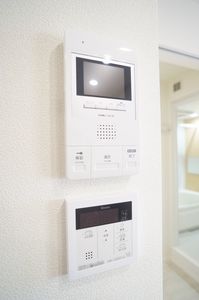 アルテージ錦 423号-6