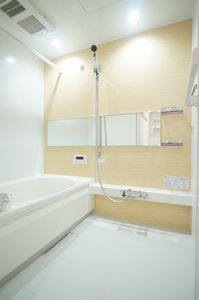 アルテージ錦 423号-9