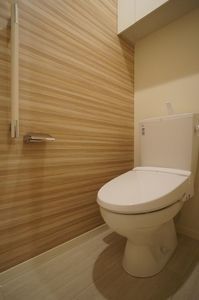 アルテージ錦 423号-11