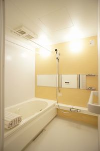 Ｖｉｌｌａｇｅ 101号-4