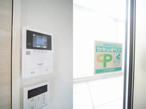 Ｓｐａｒｒｏｗ　ｆｏｒｅｓｔ 201号-6