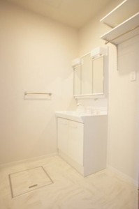 ブロンズウルフ 101号-8