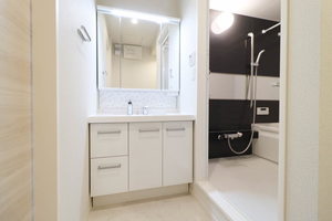 ＳＴＲＡＷ　ＨＡＴ　Ａ 201号-9