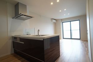 グランチーネ 301号-3