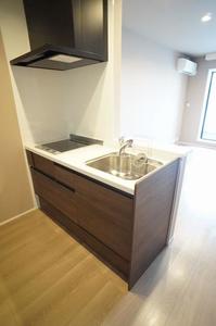 ラフィーナ 201号-3