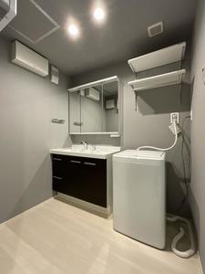 ラフィーナ 301号-9