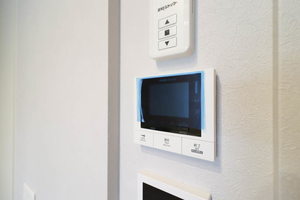 ルアナ錦 110号-10