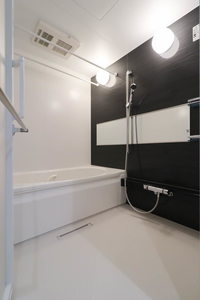 ルアナ錦 205号-9