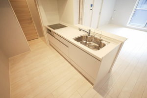 ルアナ錦 208号-4