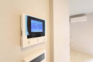 ルアナ錦 208号-10