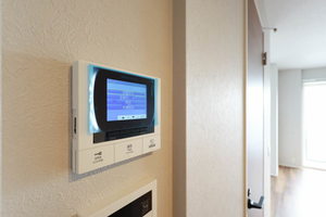 ルアナ錦 301号-10