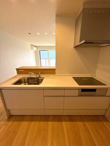 ザ　グランド　自治医大 305号-4