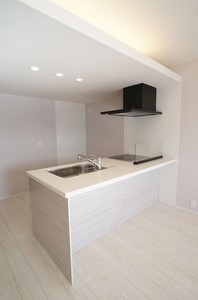 ザ　グレイス　自治医大 201号-4