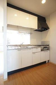 ディアスかねこ 201号-3