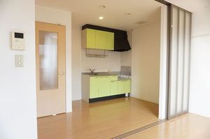 アネーロＢ 203号-3