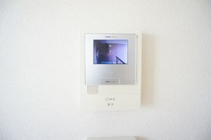 ヴァンソレイユ 201号-10