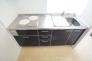 ＫＡＲＡＳＵ　Ⅰ 202号-7