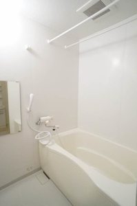 ＫＡＲＡＳＵ　Ⅰ 202号-8