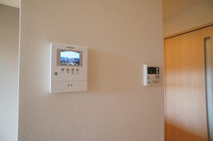 サンテラス 203号-10