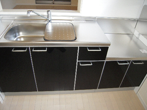 アプリコットⅡ 102号-4