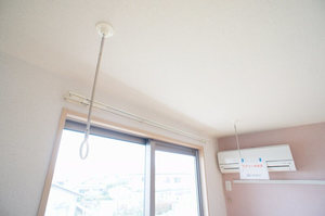 アプリコットⅡ 202号-10