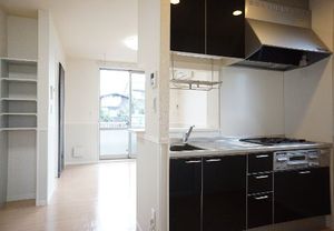 Ｓａｋｕｒａ I号-2