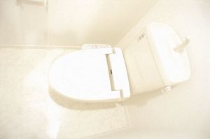 スクイムタウン　Ｂ 202号-9