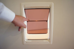 ヴィラ・ローズ　Ⅰ 105号-10