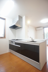 モンステラ 101号-3