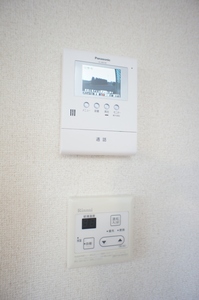 モンステラ 101号-4