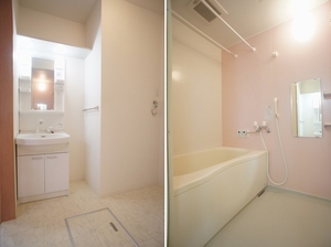 モンステラ 101号-9