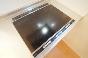 メゾンローズ 102号-5